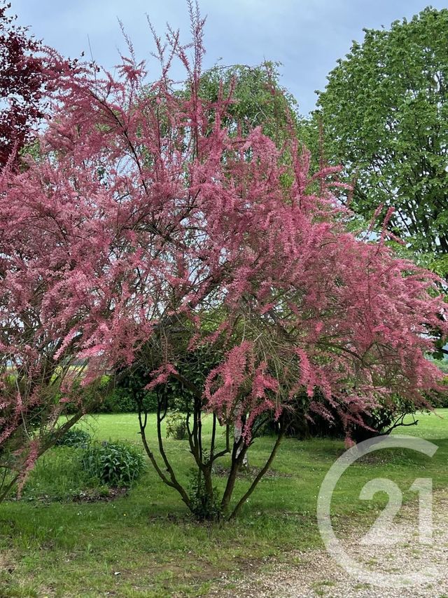 maison à vendre - 7 pièces - 180.0 m2 - PONTOISE - 95 - ILE-DE-FRANCE - Century 21 Osmose