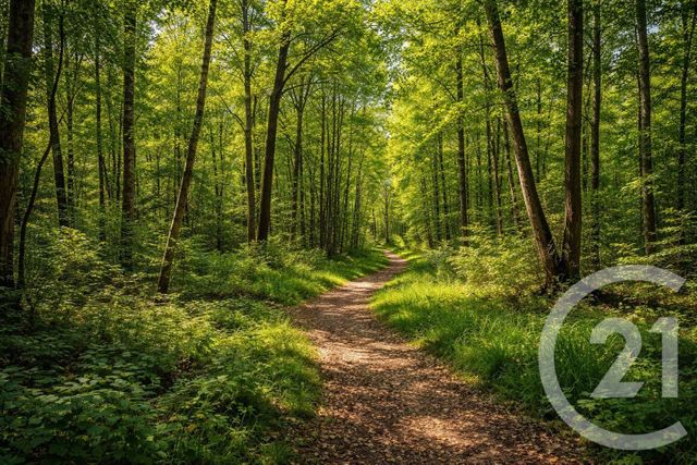 terrain à vendre - 188000.0 m2 - NESLES LA VALLEE - 95 - ILE-DE-FRANCE - Century 21 Osmose